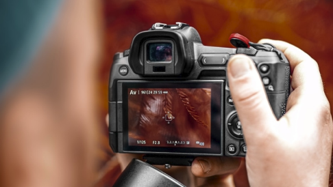 The move to mirrorless cameras